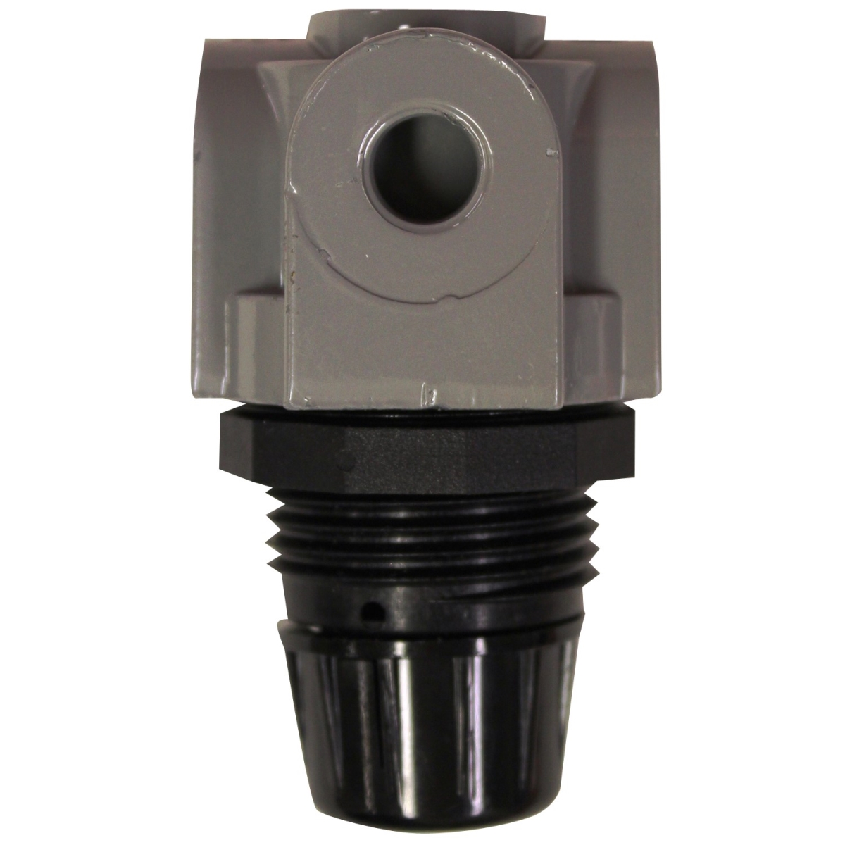 0.25 In. Npt Mini Heavy Duty Regulator