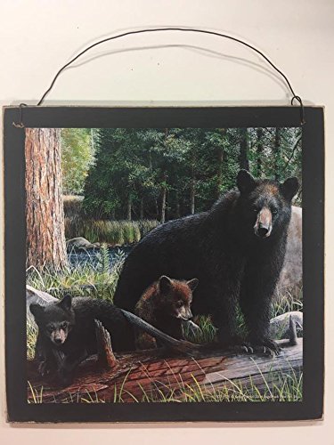 Hwlwbb 26 X 36 In. Leading The Way Black Bears Wall Hanging