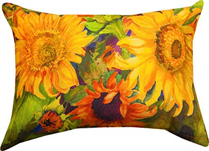 Shsunf 18 X 13 In. Sunny Faces Dye 100 Hours Pillow