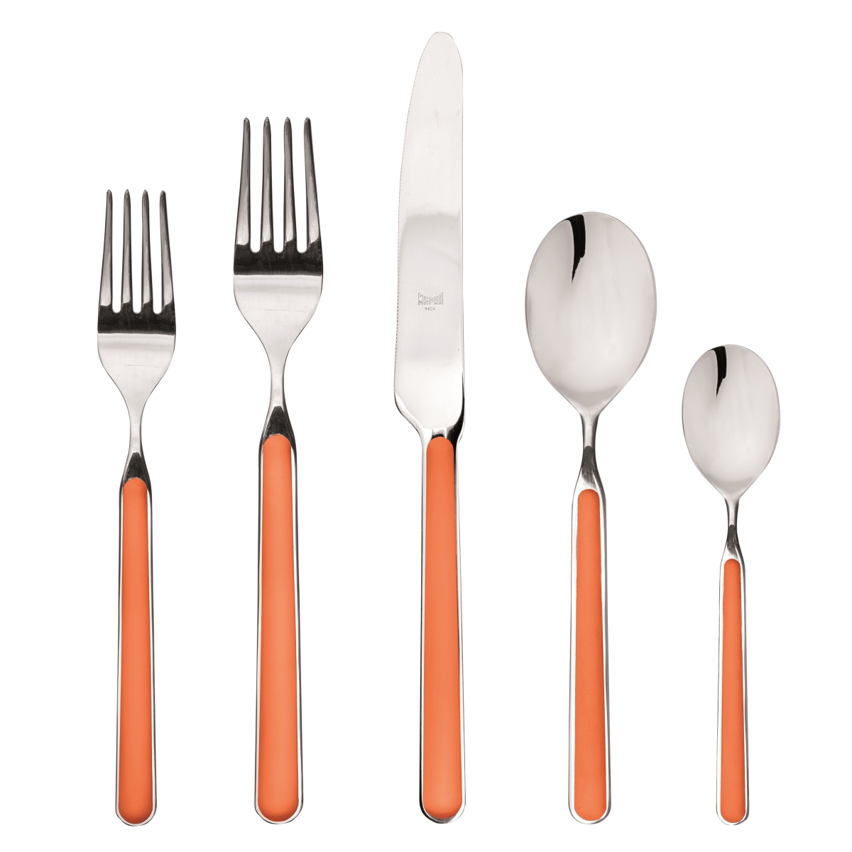 10f722005 Stainless Steel Fantasia Place Set, Carrot - 5 Piece