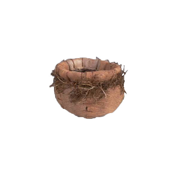 Pl578jr Cocotistis & Wild Roots Jar Planter