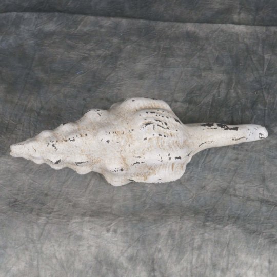 Pmdf-041 Decorative Paper Mache Tiny Conch Sculpture, Distressed White
