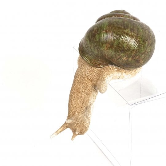 Sc002-sn Snail Figurine Figurine