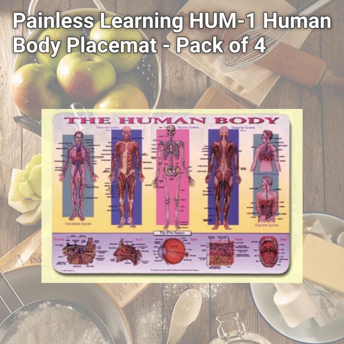 Picture of Painless Learning HUM-1 Human Body Placemat - Pack of 4