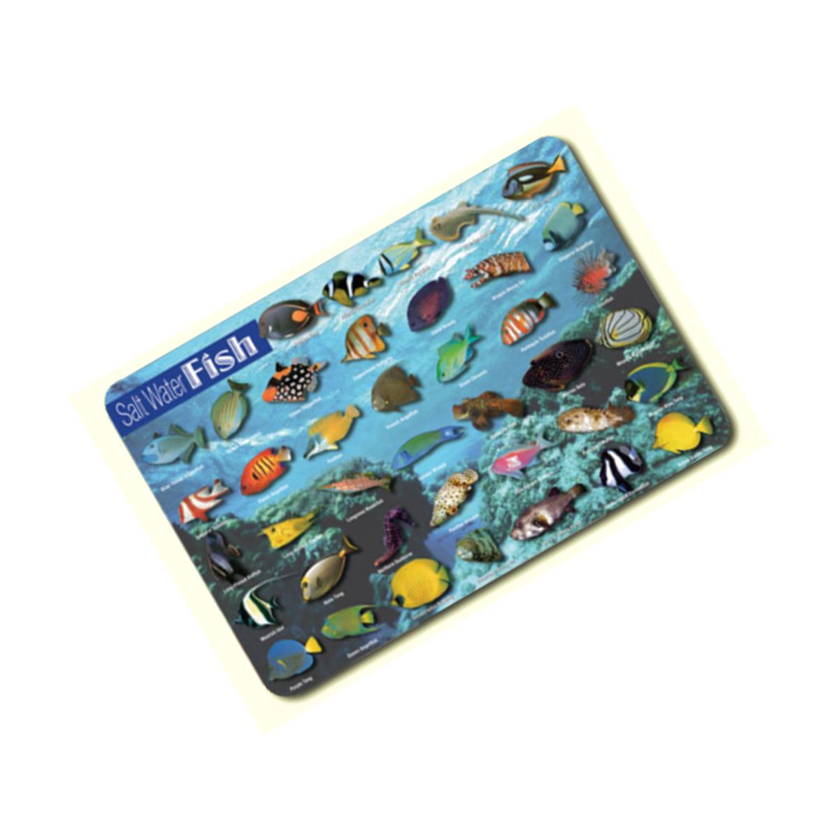 Picture of Painless Learning SWF-1 Saltwater Fish Placemat - Pack of 4