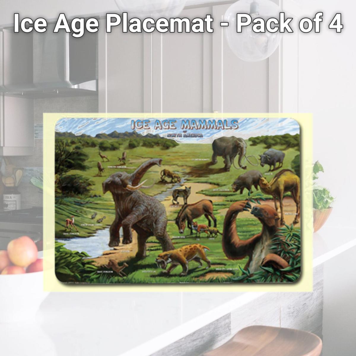 Picture of Painless Learning ICE-1 Ice Age Placemat - Pack of 4