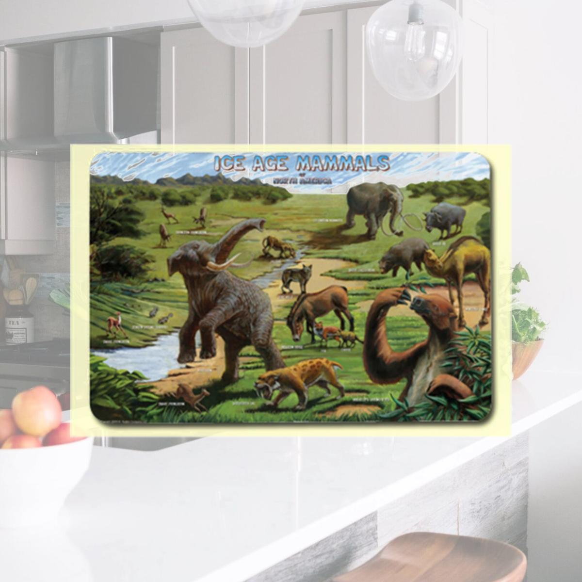 Picture of Painless Learning ICE-1 Ice Age Placemat - Pack of 4