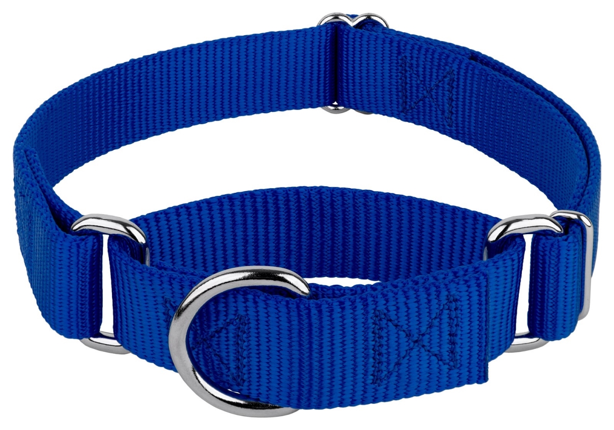 124-1m Blmd Plain Nylon Martingale Dog Collar, Medium - Blue