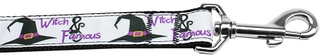 125-213 3804 Witch & Famous Nylon Dog Leash, 0.38 in. x 4 ft. 125-213 3804 Witch & Famous Nylon Dog Leash, 0.38 in. x 4 ft.
