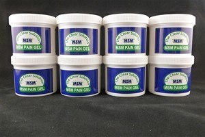 Msm Health Solutions 139 4 Oz Pain Gel, 8 Jar