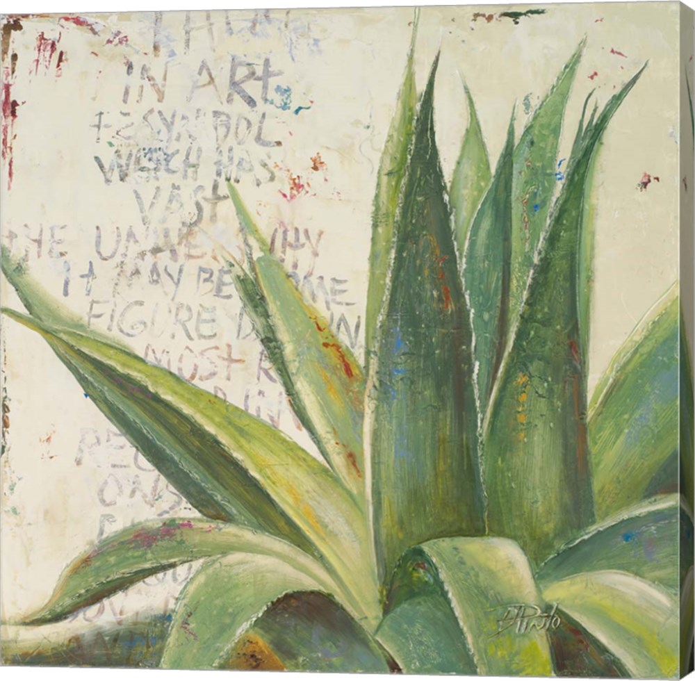 C870441-0120000-aaaacma Aloe I By Patricia Pinto Canvas Wall Art - 12 X 12 In.