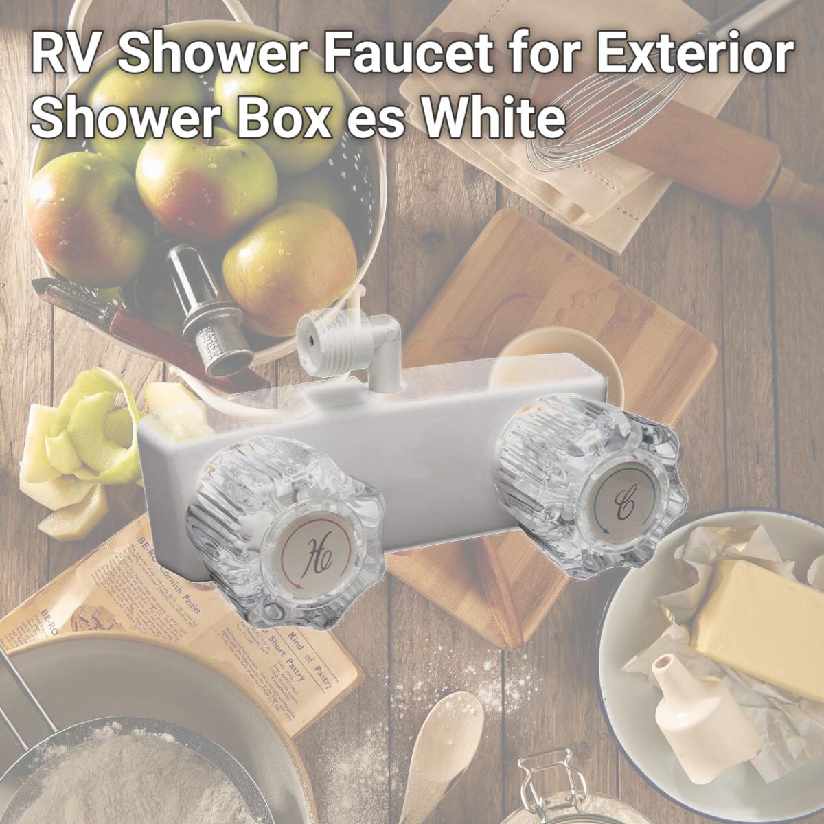 Picture of Dura Faucet DFTDF-SA100A1-WT RV Shower Faucet for Exterior Shower Box es, White