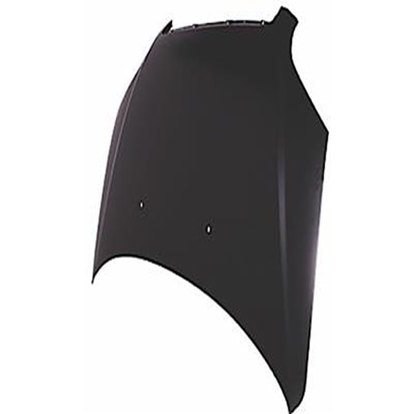 UPC 756381000077 product image for Hood for 2007-2011 Chevrolet Aveo | upcitemdb.com