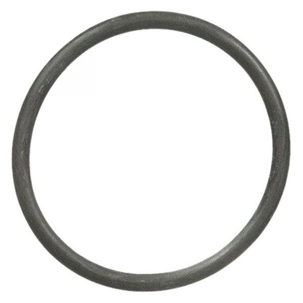 FEP25598 Coolant Water Outlet O-Ring for 1978-1979 American Motors Concord - Black