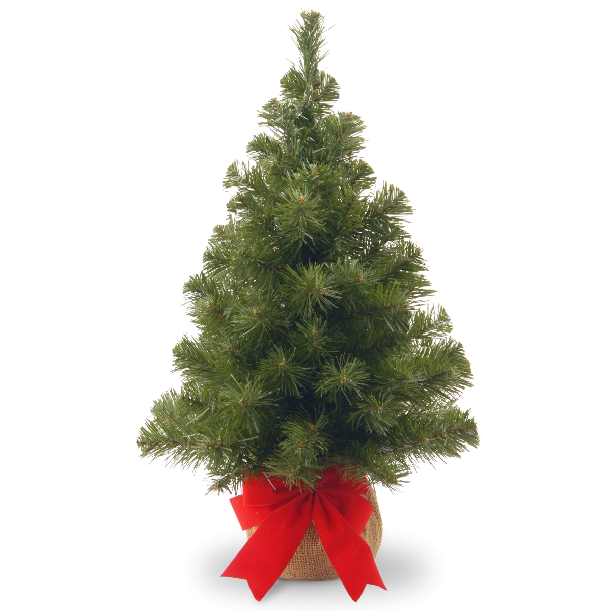 National Tree Nb1-20bp-1 2 Ft. Noble Spruce Tree With Burlap Bag