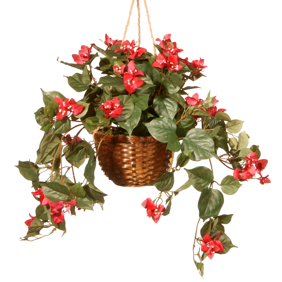 National Tree Ras-hb88854-a 13 In. Hanging Flower In Pot, White
