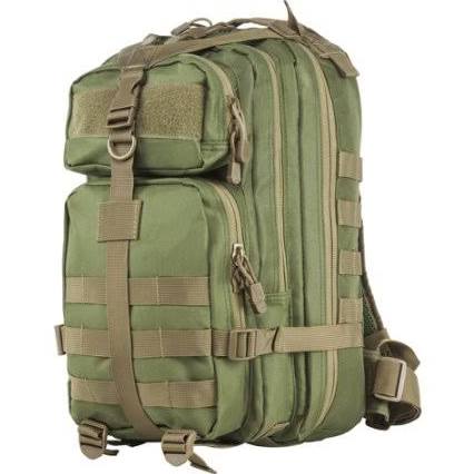 Small Backpack With Tan Trim - Green