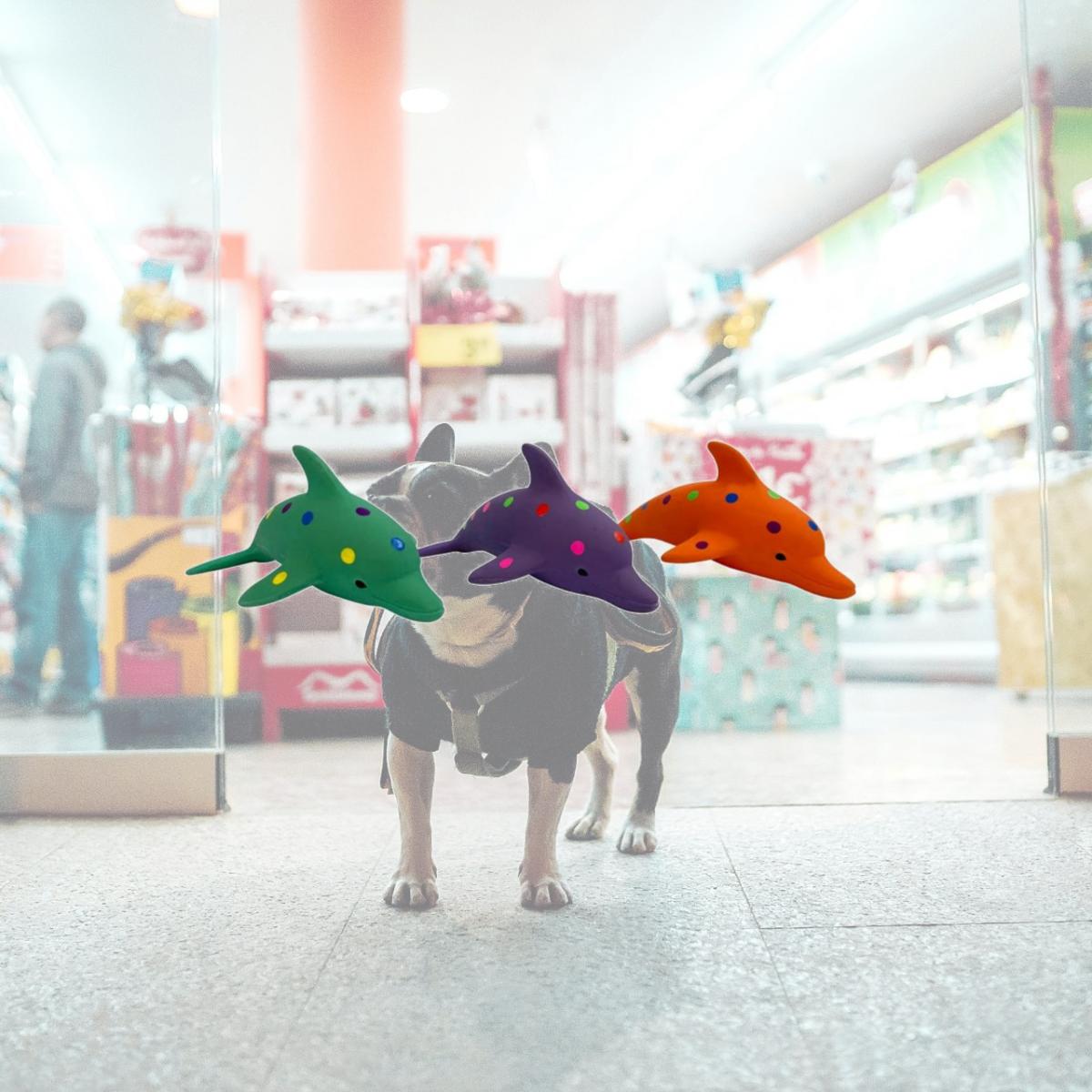 Picture of Multipet 784369573398 8.5 in. Pet Envy Waylon The Dolphin Latex Assorted Dog Toys
