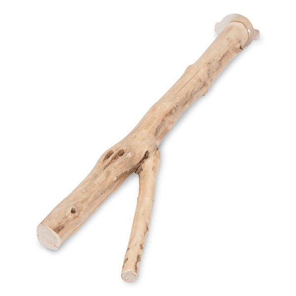 48081010532 24 In. Naturals Y-branch Perch - Coffee Wood