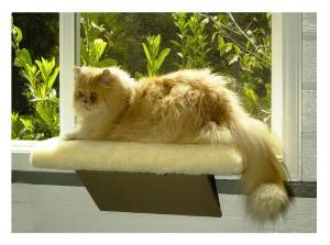 34202460058 North American Pet Cat Window Perch