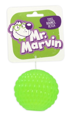 UPC 045663973636 product image for Four Paws 45663973636 Mr Marvin Toss Bounce Fetch Ball | upcitemdb.com