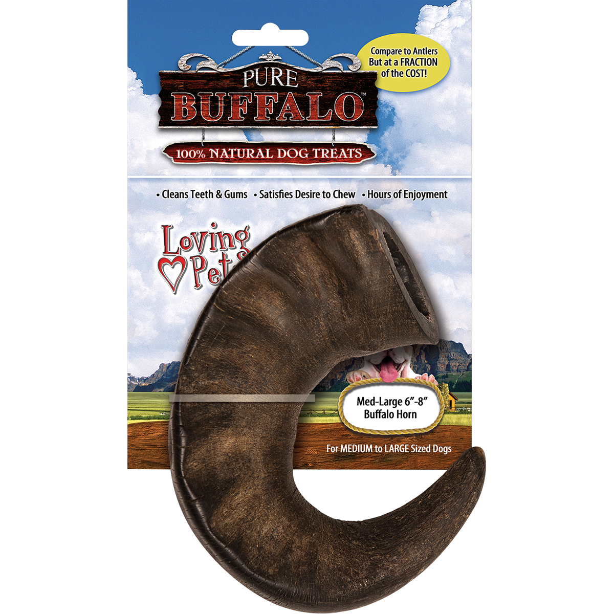 Lp5677 Pure Buffalo Medium-large Buffalo Horn, 6-8 In.