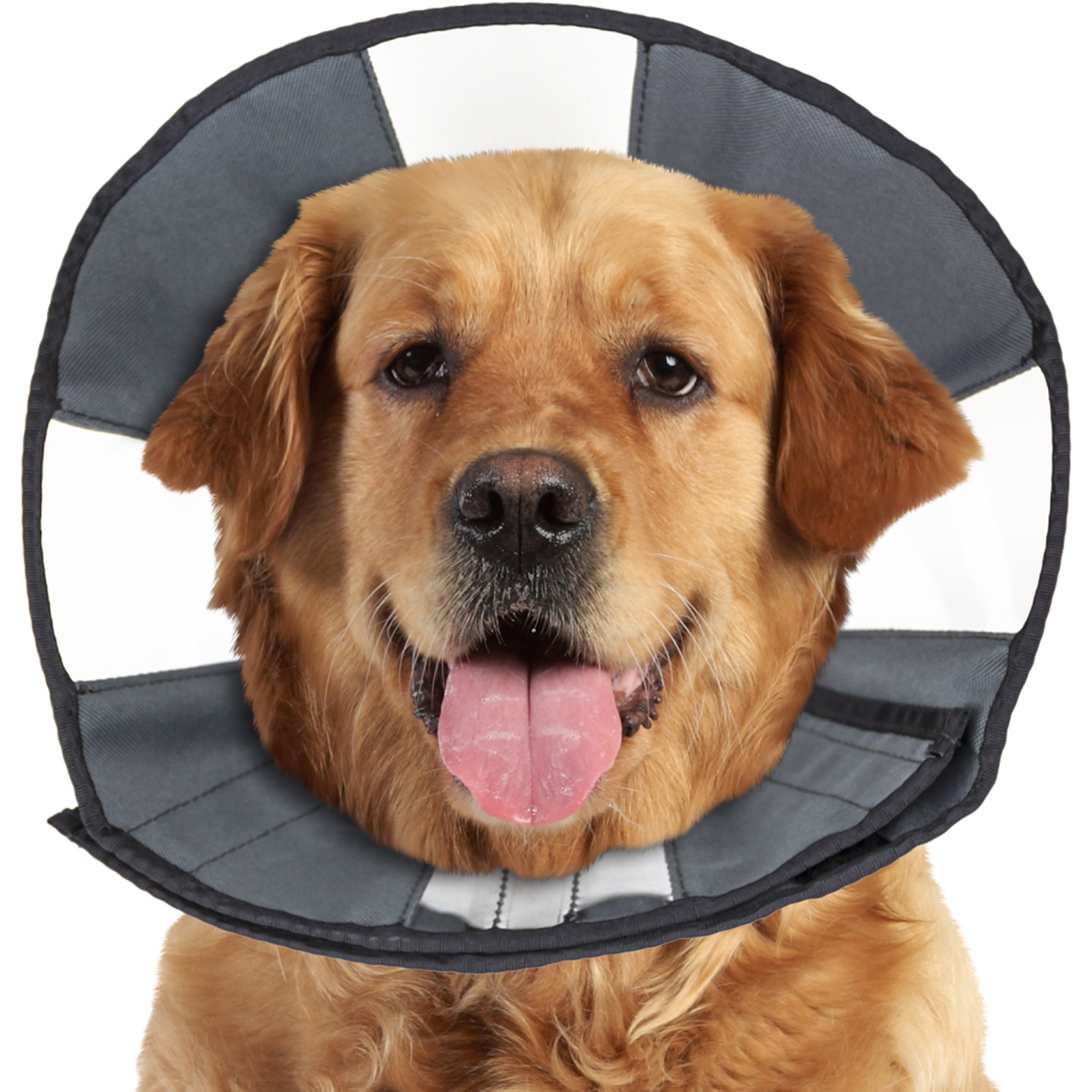 5924 Recovery Cone, Extra Large