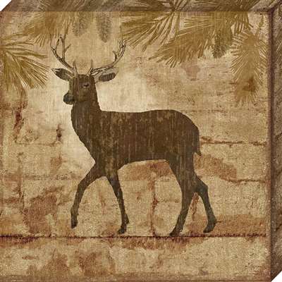 Cv1121-1111 11 X 11 In. Country Deer Canvas Gallery Wrapped Art Print