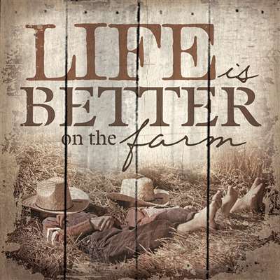 Pa1005 14 X 14 In. Life Is Better On The Farm Wood Pallet Design Wall Art Sign