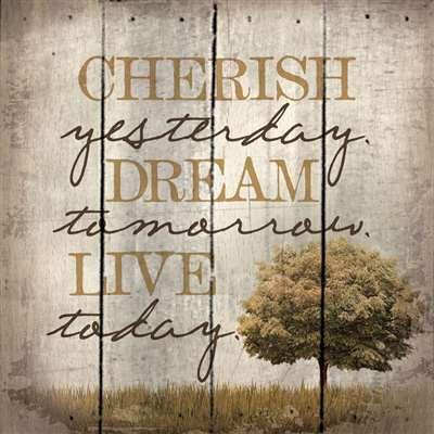 Pa1020 14 X 14 In. Cherish Yesterday Dream Tomorrow Live Today Wood Pallet Design Wall Art Sign