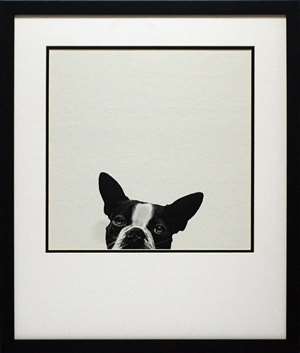 N1840 22 X 26 In. Loyalty Framed Dog Art Print