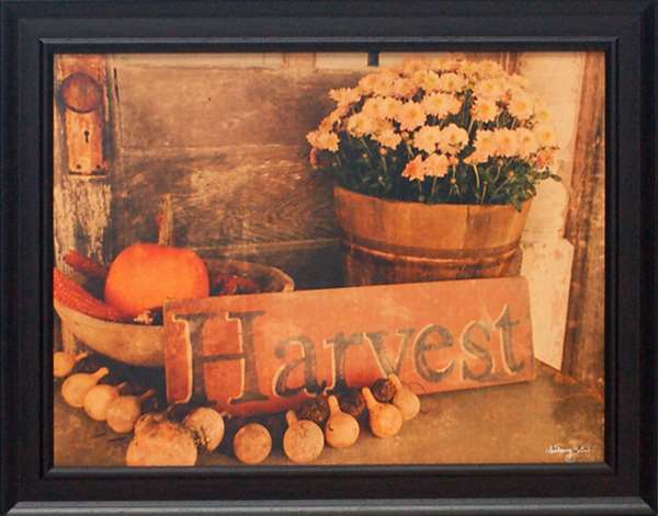 P557 15 X 19 In. Autumn Harvest Framed Art Print
