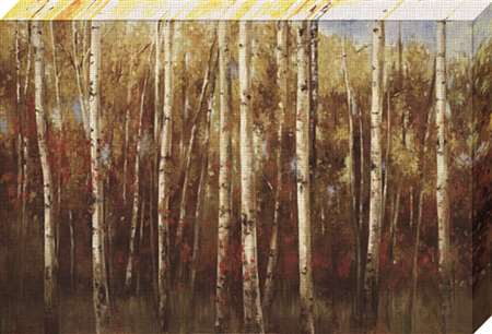 Nc1007 36 X 24 In. Birch Forest Canvas Framed Landscape Canvas Gallery Wrap Art Print
