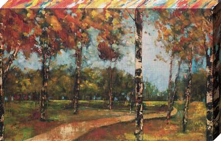 Nc1036 24 X 36 In. Autumn Path Framed Landscape Canvas Gallery Wrap Art Print