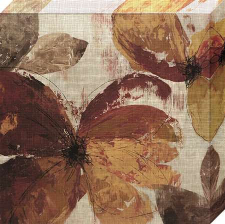 Nc1039 30 X 30 In. Paloma I Framed Floral Canvas Gallery Wrap Art Print