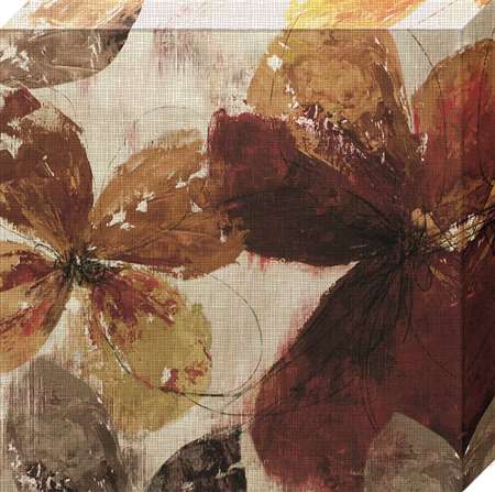 Nc1040 30 X 30 In. Paloma Ii Framed Floral Canvas Gallery Wrap Art Print