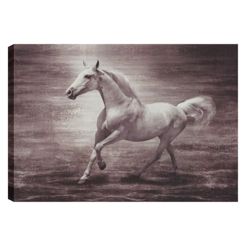 Unbimp5474aonl 24 X 36 In. Horse Ride Iv Animal Canvas Print Wall Art