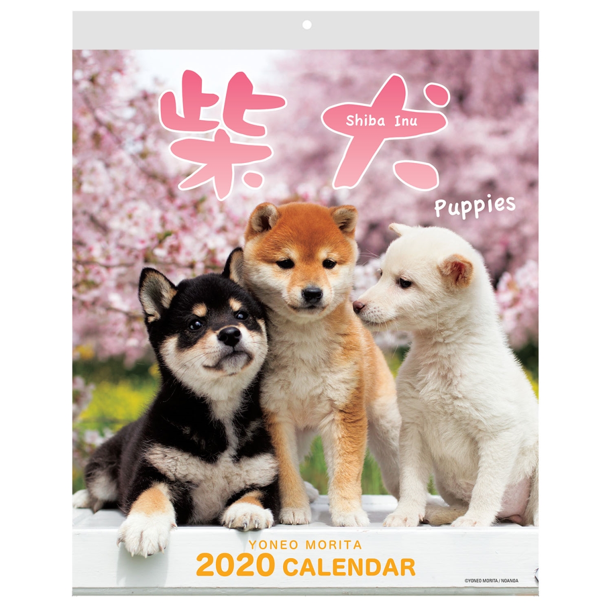 Shibainucalwall2020 Shiba Inu 2020 Wall Calendar With Adorable Shiba Dogs Puppies Pictures & Us Holidays