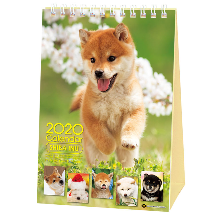 Shibainucaldesk2020 Shiba Inu 2020 Desktop Calendar With Adorable Shiba Dogs Puppies Pictures & Us Holidays
