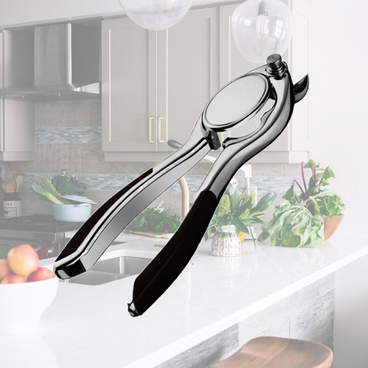 Picture of Vacu Vin 68625606 Champagne Bottle Opener - Gift Box