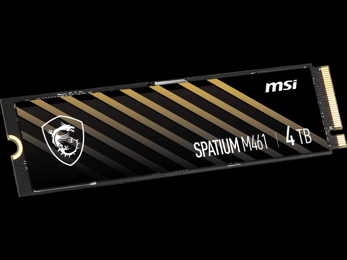 Picture of Micro-Star International SPATIUM M461 PCIe 4.0 NVMe M.2 4TB M461 M.2 2280 4TB PCI-Express 4.0 x 4 3D NAND Internal Solid State Drive - SSD