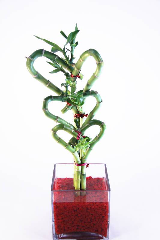 Ba-hs08hs12hs16-sq4-rrsm 3 Staggered Triple Heart Bamboo & Red Rock Container