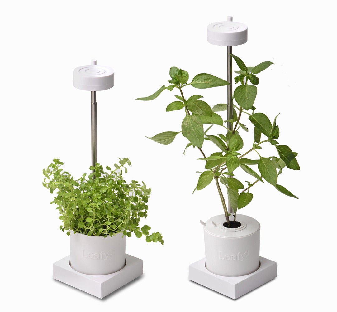 Leafy Desktop Hydroponics & Grow Light System