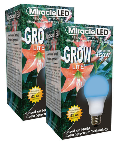 604383 Miracle Led Growth Starter Max Led Bulb, Blue - Pack Of 2
