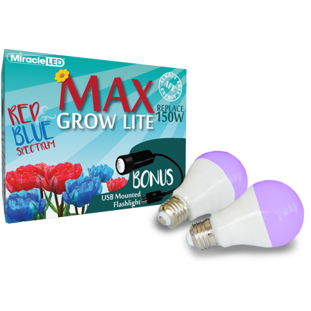 604372 Led Bug Light Max Outdoor Bulb - Pack Of 2
