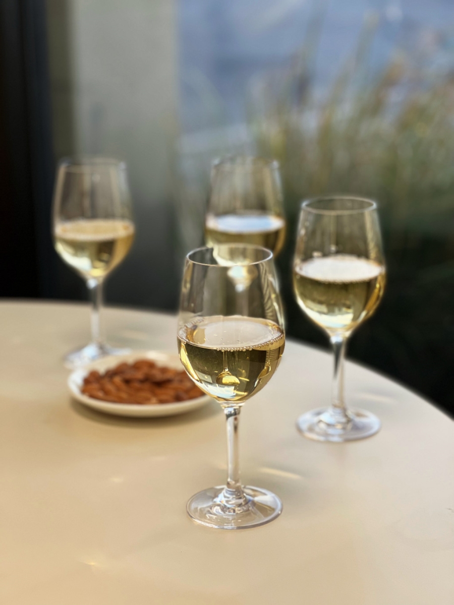 Picture of HomeRoots 521122 Tritan Plastic Stemmed All Purpose Wine Glass, Clear - Set of 4