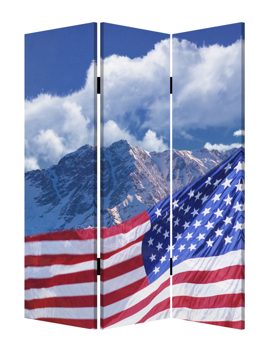 277089 Home Decor Model American Flag Screen