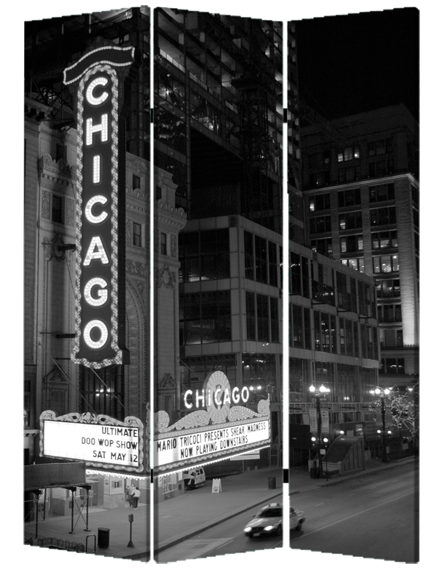 274651 Home Decor Chicago Screen