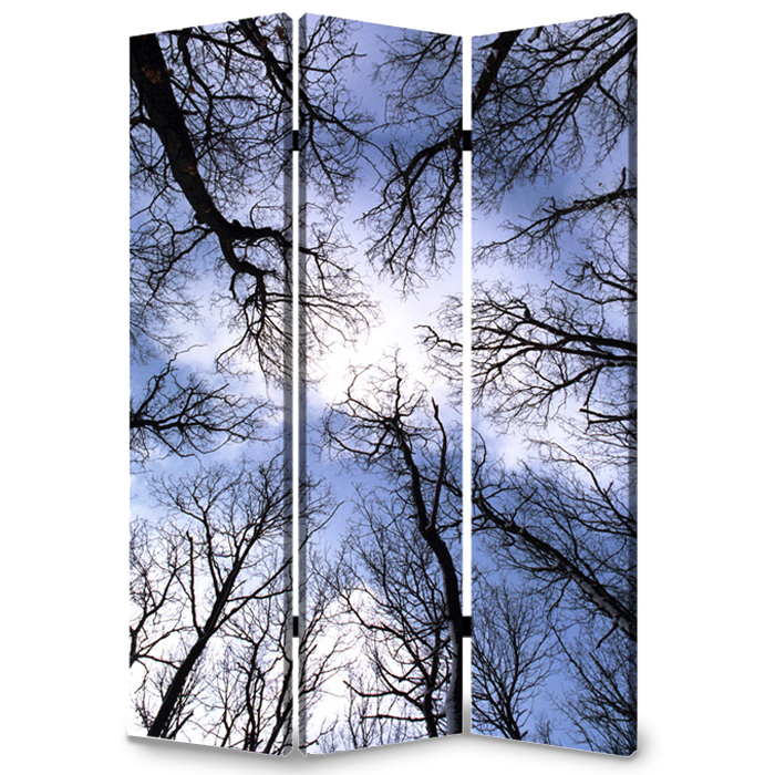 274653 Home Decor Forest Screen