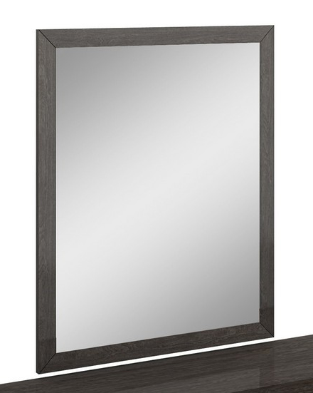 Home Roots Beddings 329650 Refined High Gloss Mirror, Grey - 43 In.